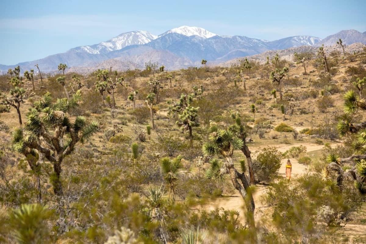 The Bungalows By Homestead Modern Joshua Tree Exterior foto
